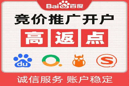 行业领先企业的SEM广告策略与效果分析